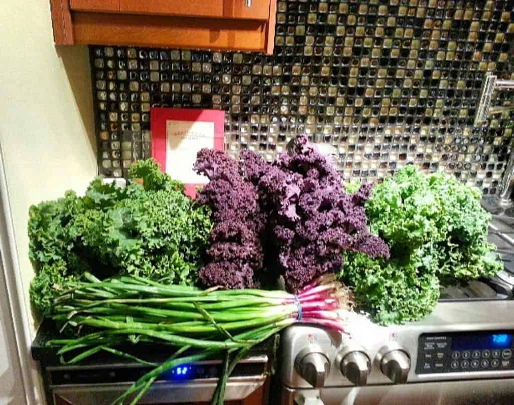saving on groceries. Pictures of vegetables, kale green and purple and green onions on top of a counter and stove with a black and clear backsplash.