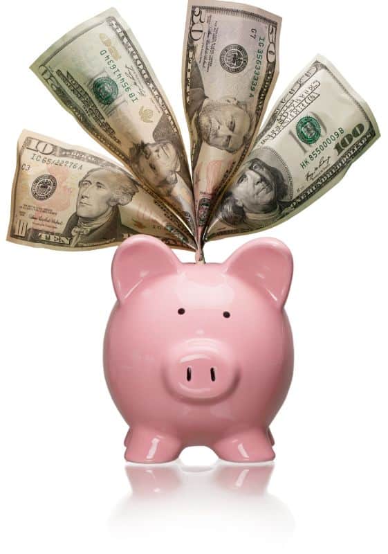 Pink Piggy bank with dollar bills fanned.