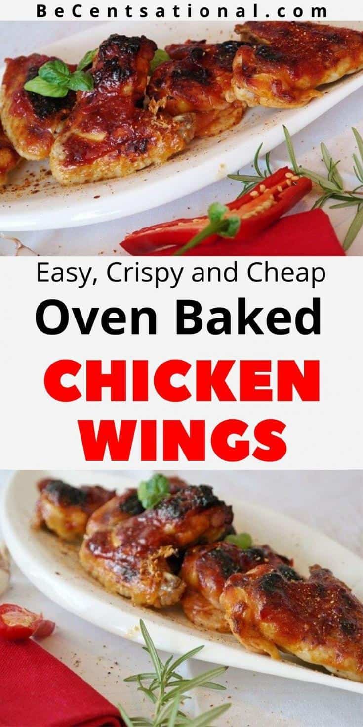 Easy and Cheap Recipes with Chicken - BeCentsational