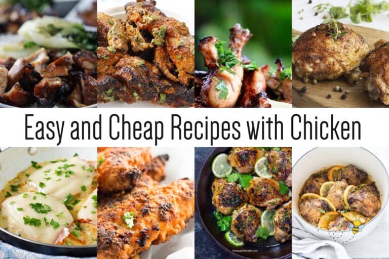 Easy and Cheap Recipes with Chicken