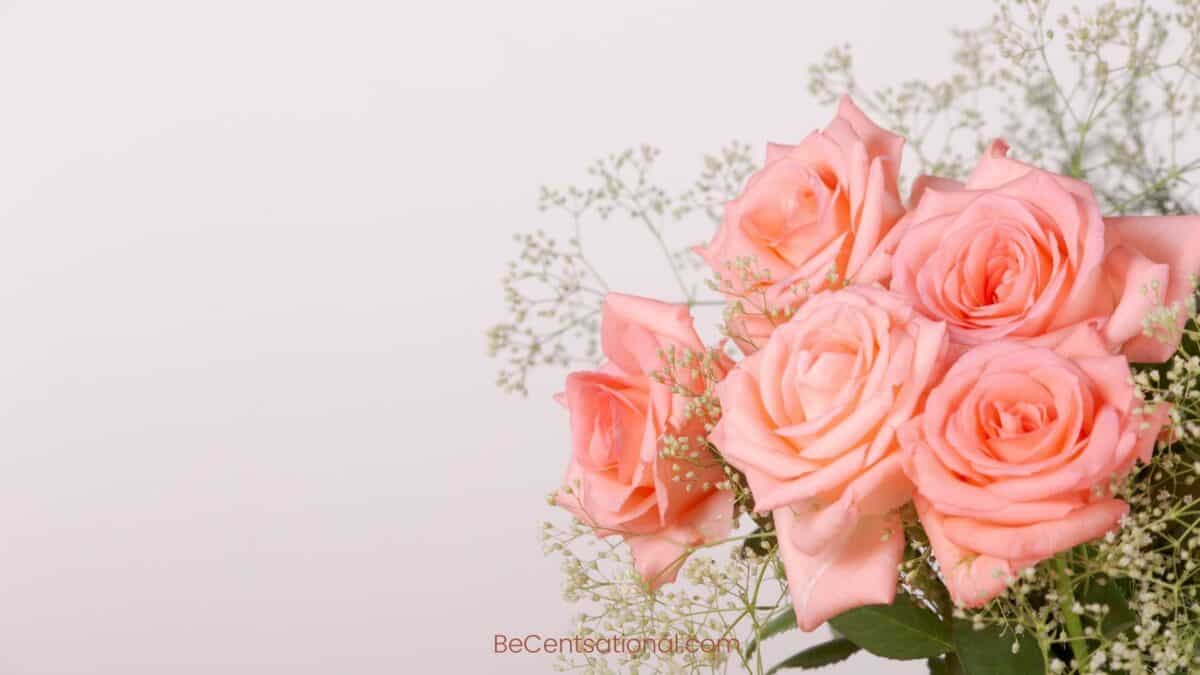 roses Wallpapers Wallpapers, flower Backgrounds for desktop