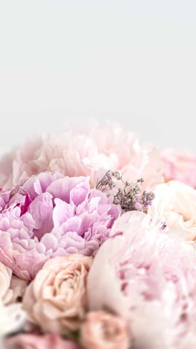 wallpaper aesthetic, pink flower wallpaper iPhone