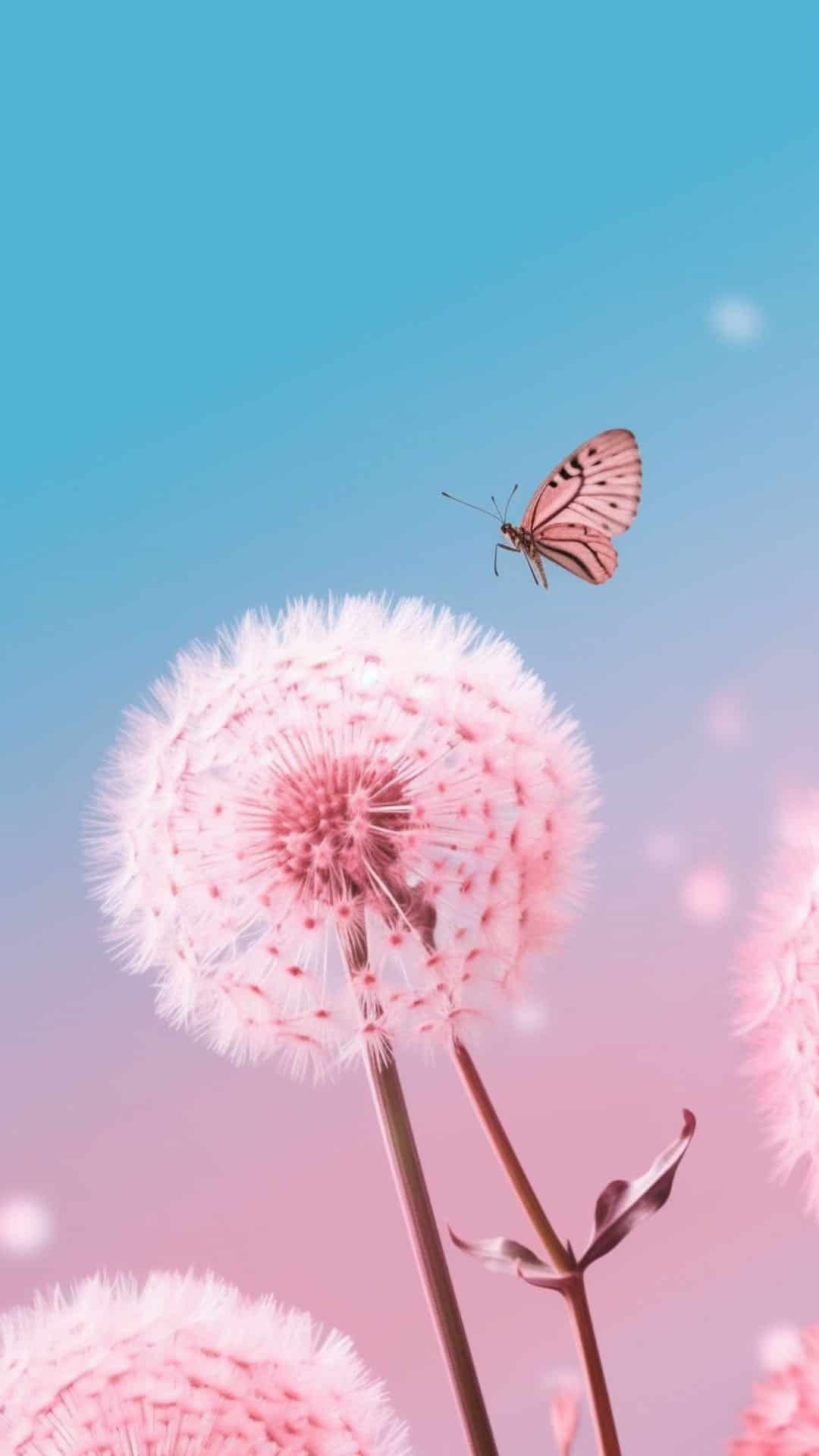 100 Cute Wallpaper for Girls (Pretty Backgrounds and Wallpapers for Girls)