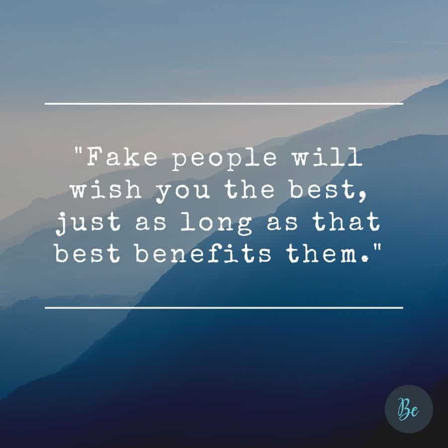 Fake people Quotes