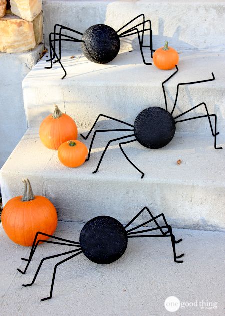 Creepy Halloween Spiders