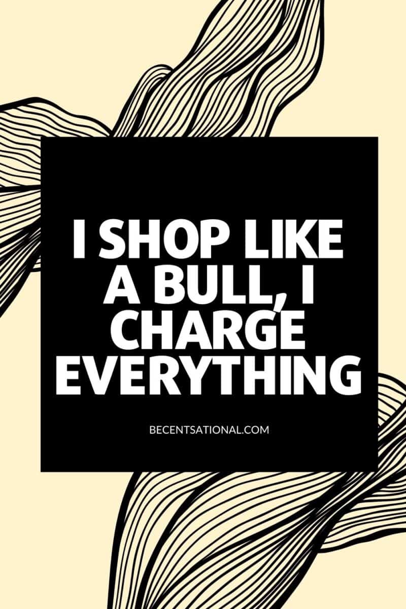 I shop like a bull, I charge everything
