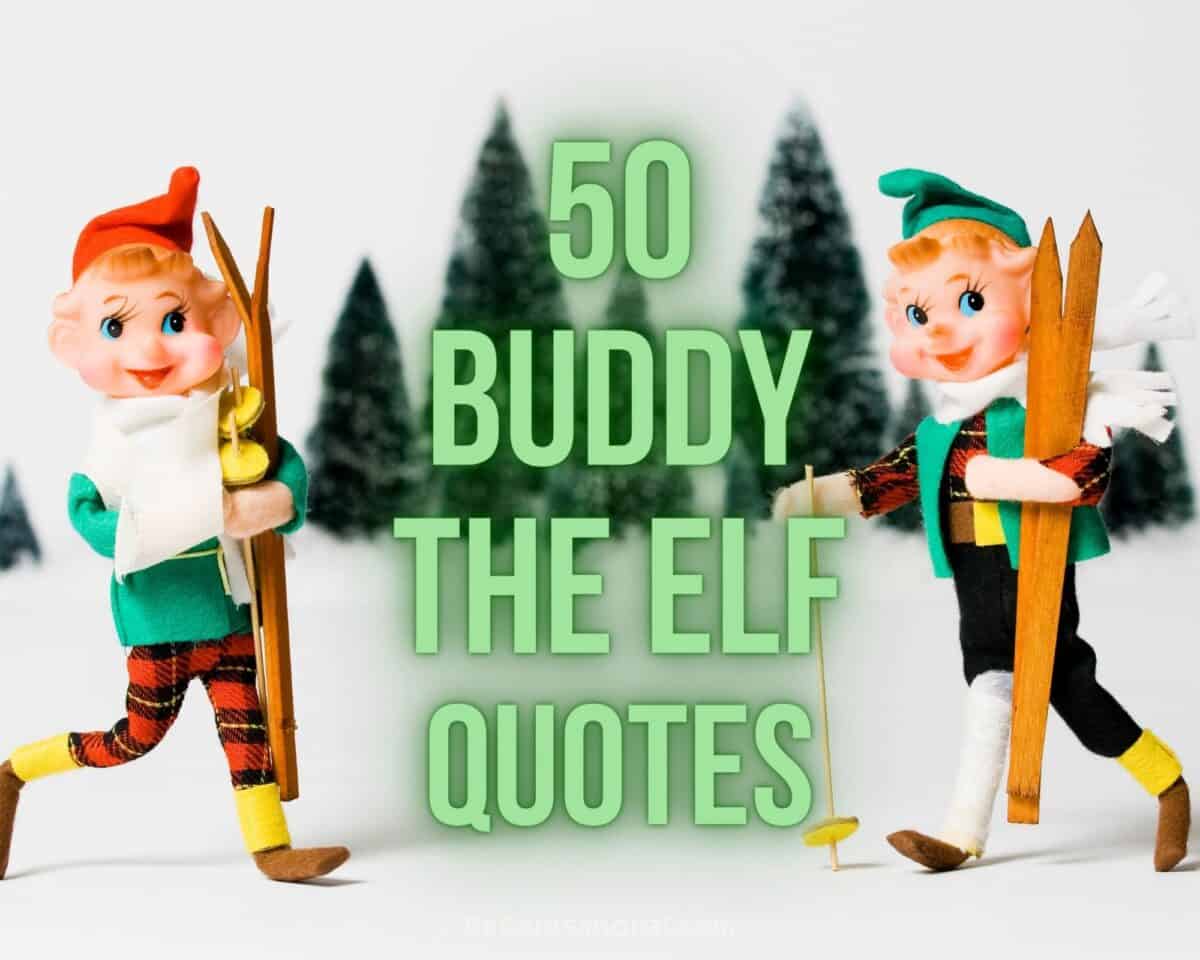 50 Buddy The Elf Quotes