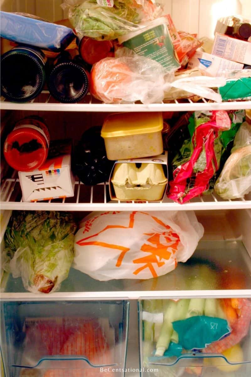 stockpiling refrigerator full of foods.