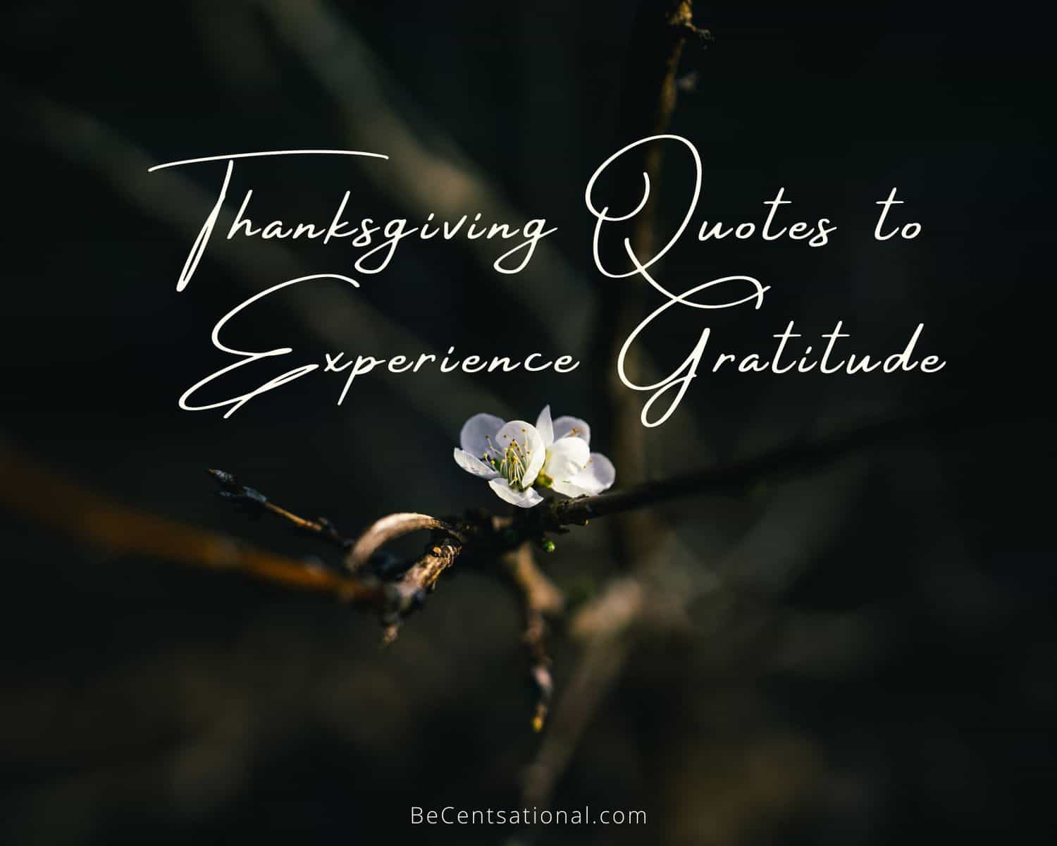 30 Thanksgiving Quotes to Experience Gratitude