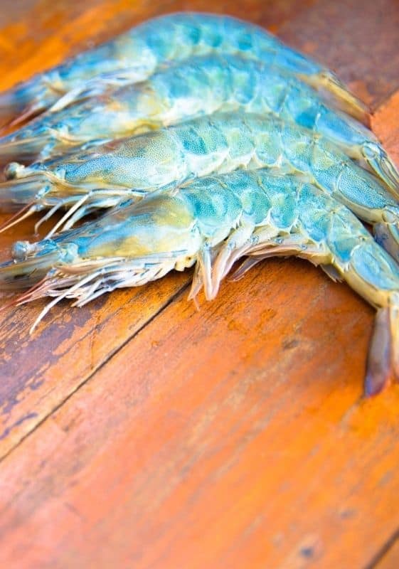 Blue shrimp on a wooden counter top.