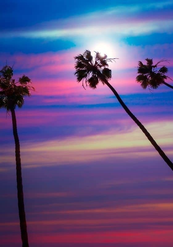 California colorful sky and palm trees