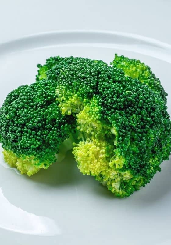 Microwaved steamed broccoli on white plate.