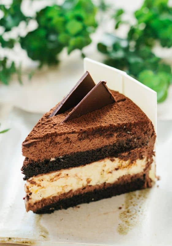 Weight Watchers Cake Recipes, featuring a double chocolate cake slice.