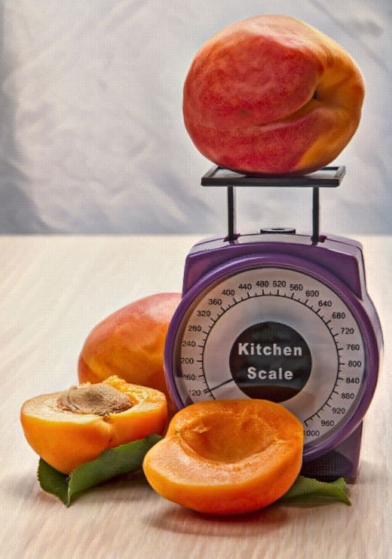 How Many Ounces In A Pound. food scale with apricots.