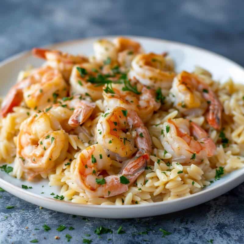 A plate of garlic shrimp served over orzo pasta, garnished with fresh parsley and lemon slices, showcasing a quick and flavorful meal option. Easy Shrimp recipes.