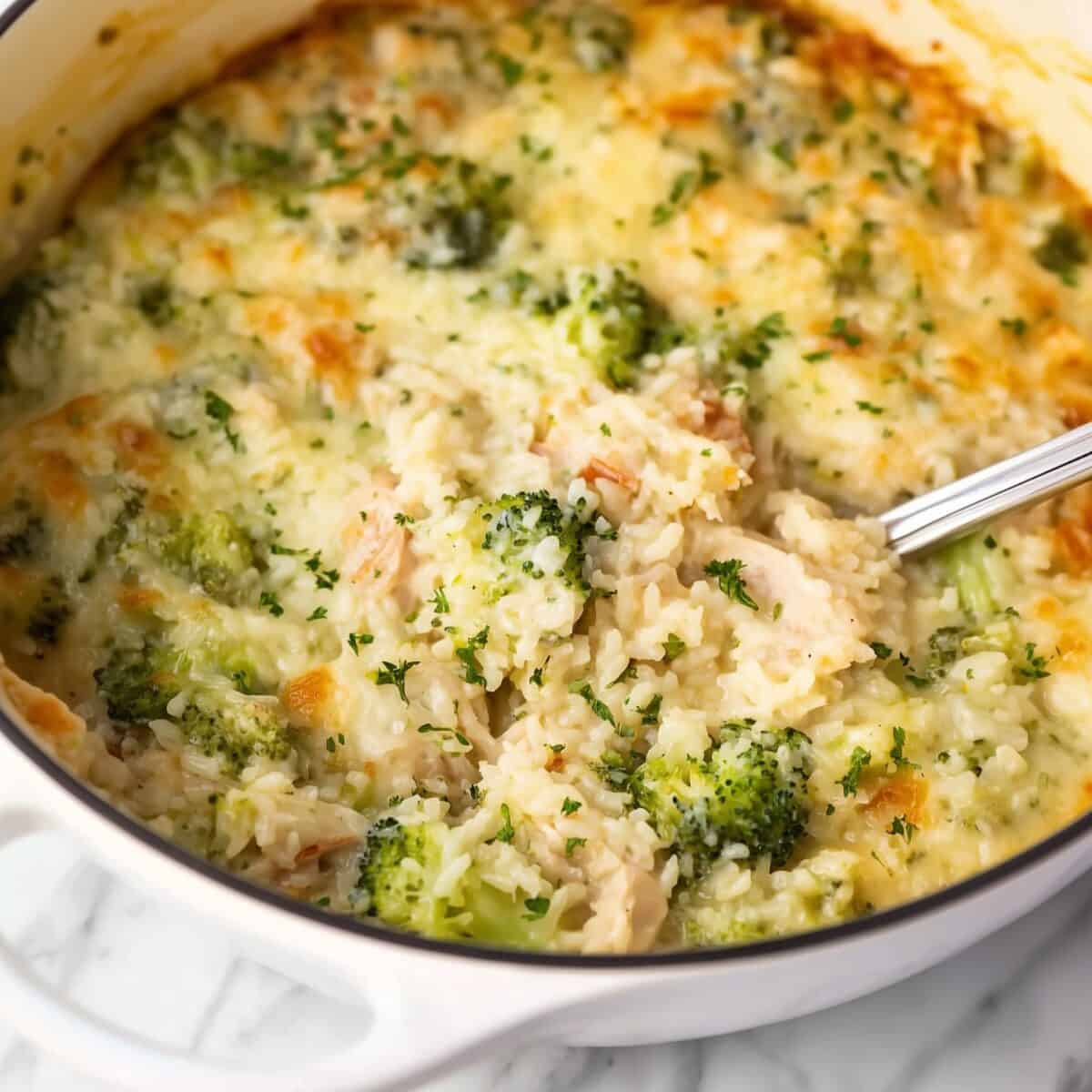 Creamy chicken broccoli rice casserole in a white enamel pan, baked until golden with cheesy edges and fresh parsley on top.